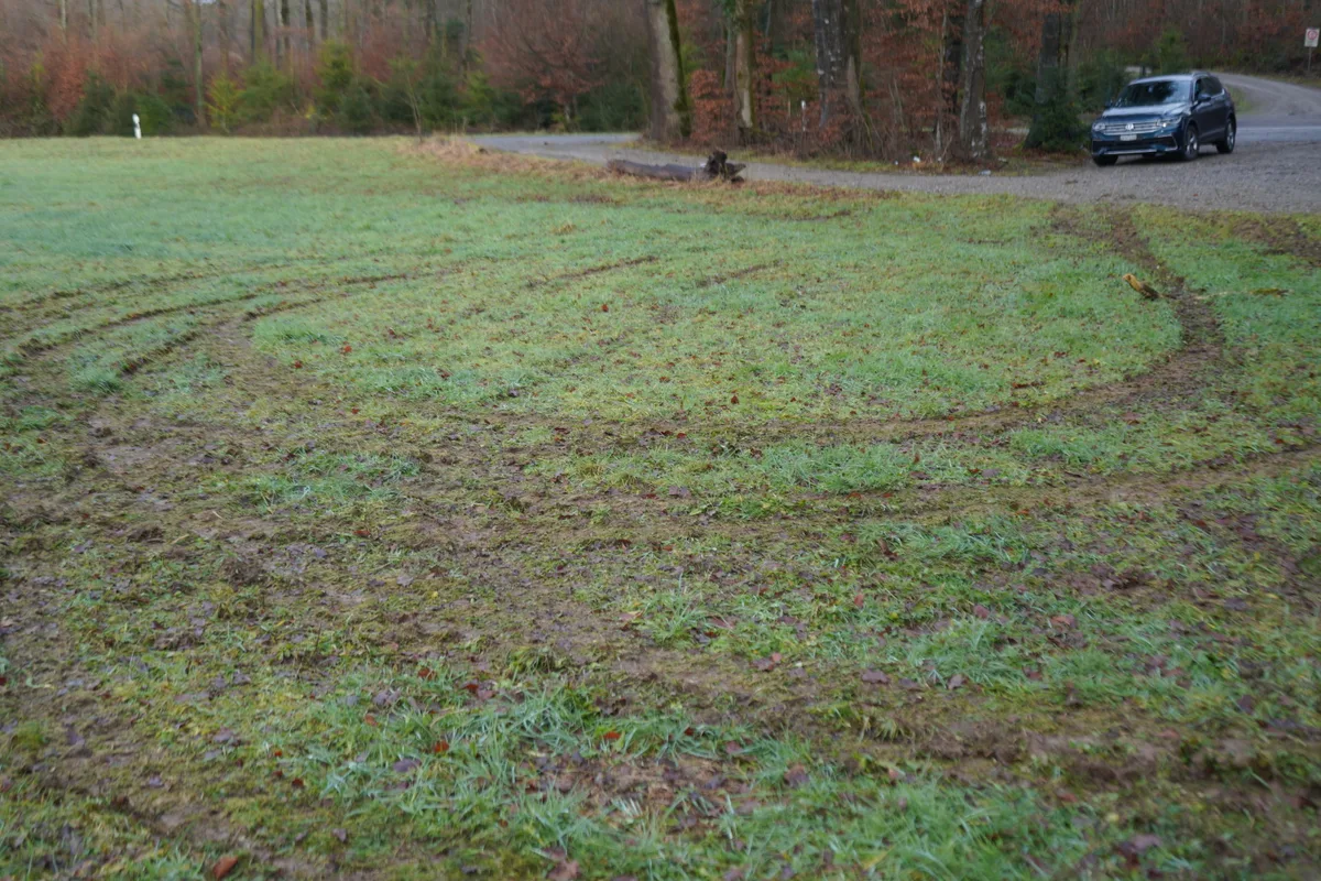 Kreisrunde Furchen im Gras, dahinter die Strasse.